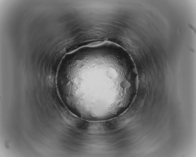 X0000091310177200708171424