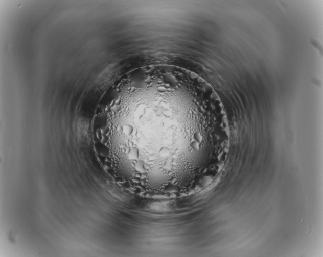 X0000091310178200708171424