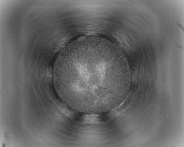 X0000091310179200708171424