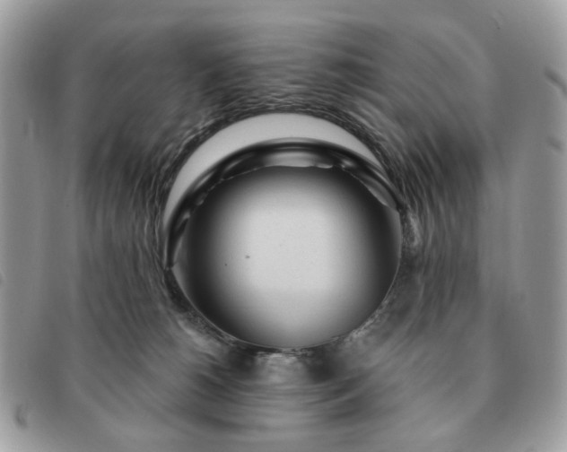 X0000091310180200708171424