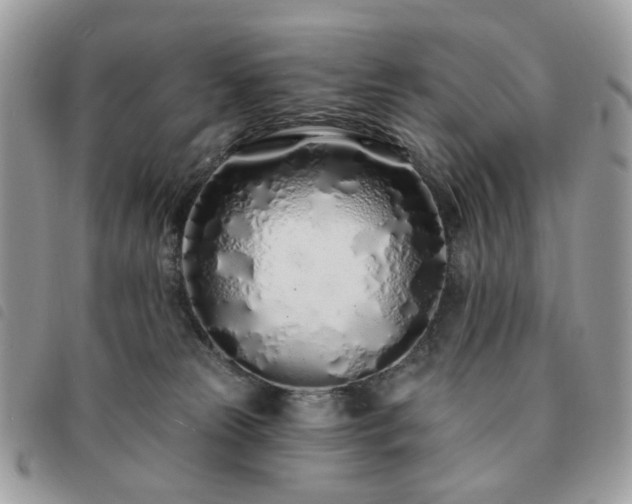 X0000091310181200708171424