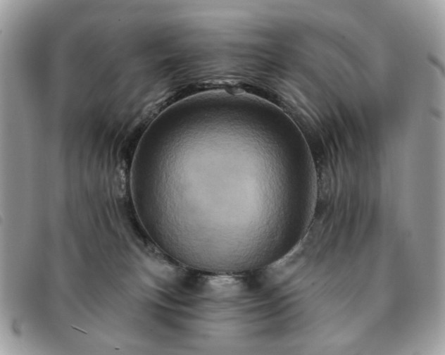 X0000091310183200708171424