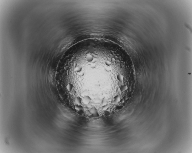 X0000091310185200708171424