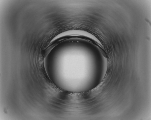 X0000091310186200708171424