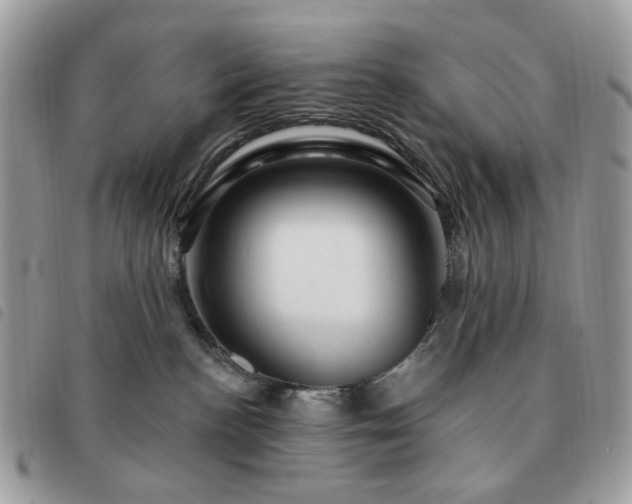 X0000091310188200708171424