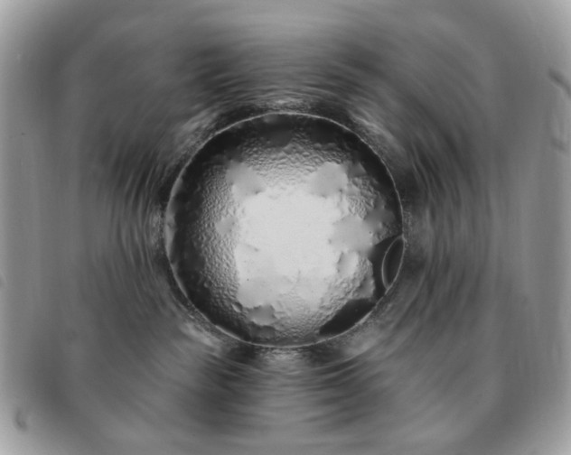 X0000091310189200708171424