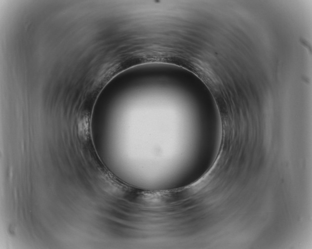 X0000091310190200708171424