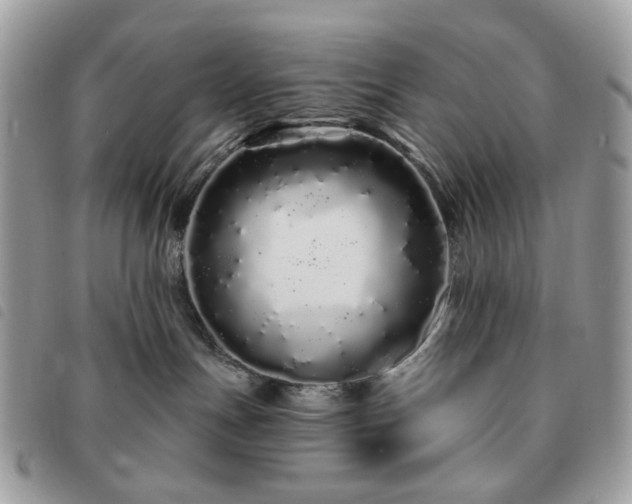 X0000091310191200708171425