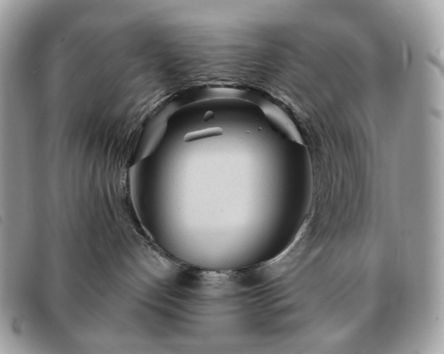 X0000091310192200708171425