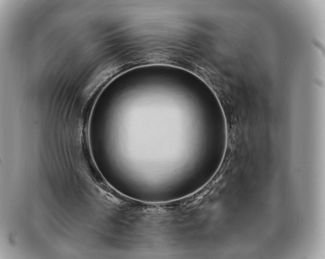 X0000091310194200708171424