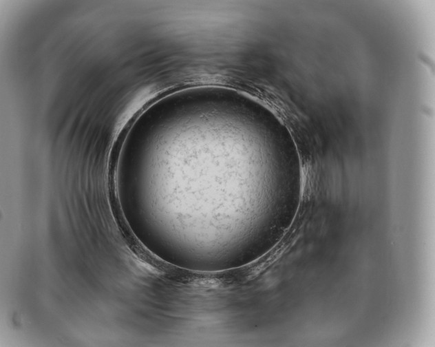 X0000091310195200708171424