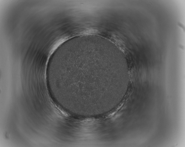 X0000091310196200708171424