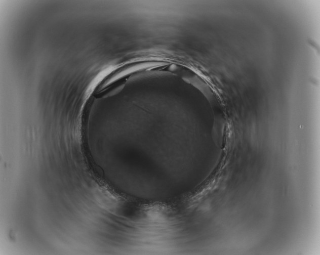 X0000091310200200708171424