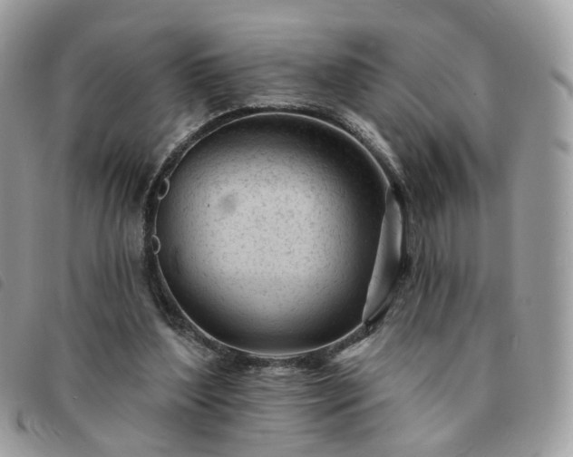 X0000091310204200708171424