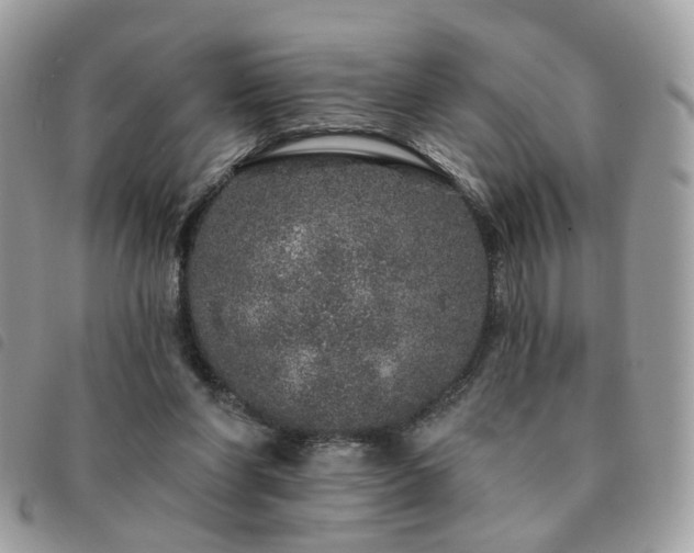 X0000091310206200708171424