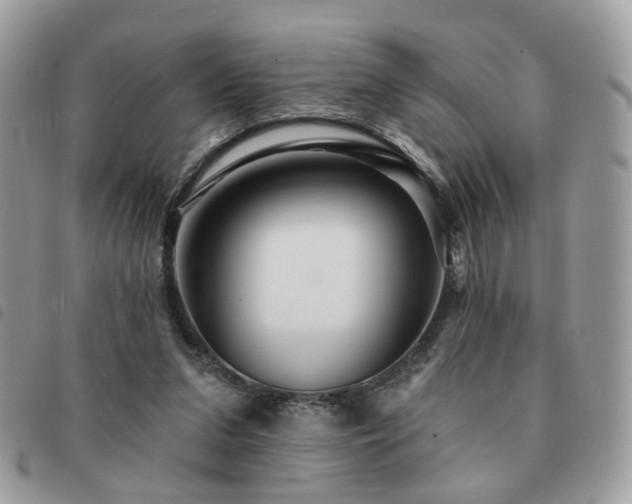 X0000091310207200708171423