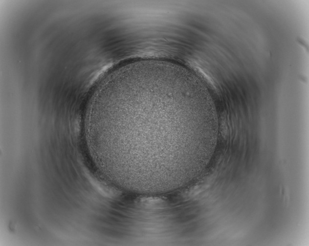 X0000091310208200708171423