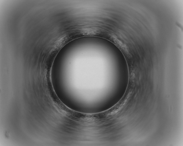 X0000091310209200708171423