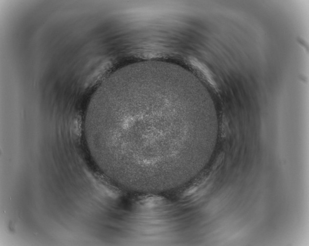 X0000091310210200708171423