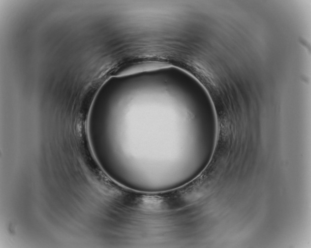 X0000091310214200708171423