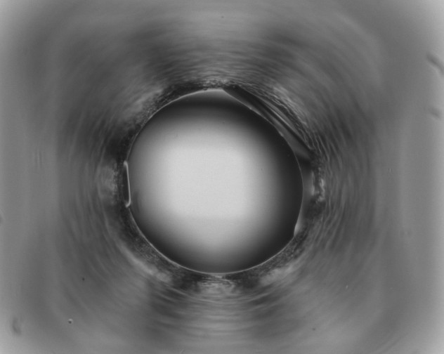 X0000091310215200708171423