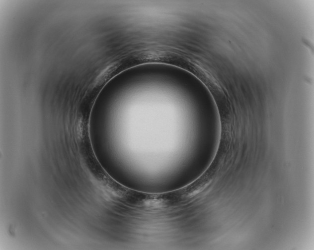 X0000091310216200708171423