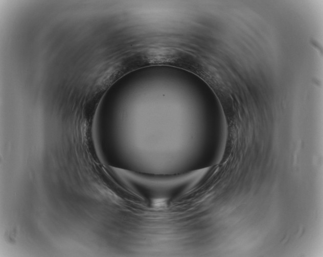 X0000091310219200708171423