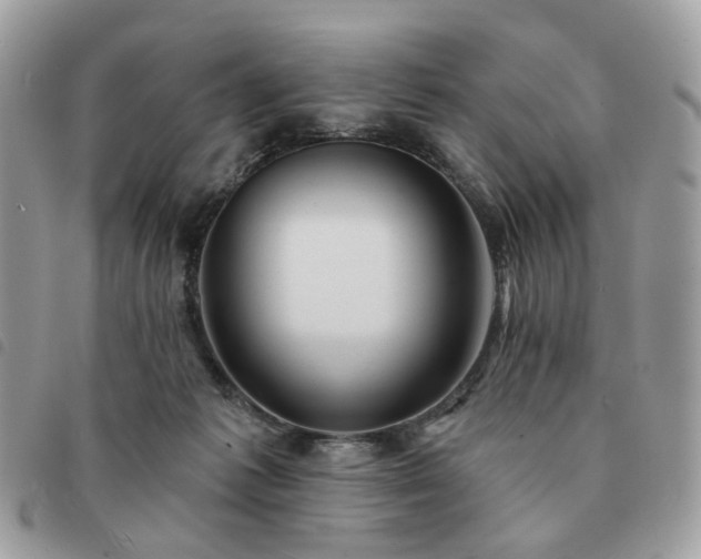 X0000091310221200708171423