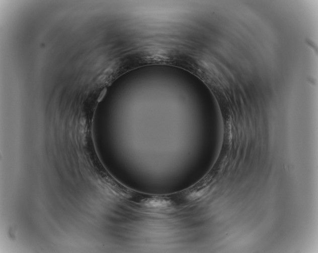 X0000091310223200708171423