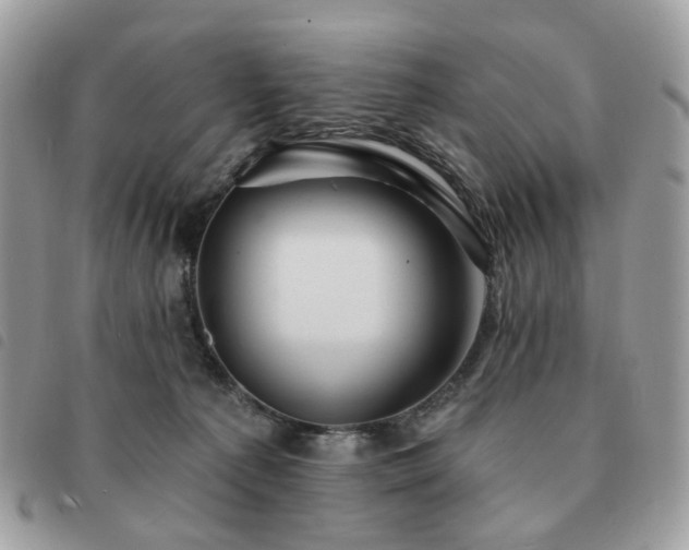 X0000091310225200708171423