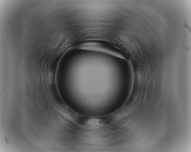 X0000091310227200708171423