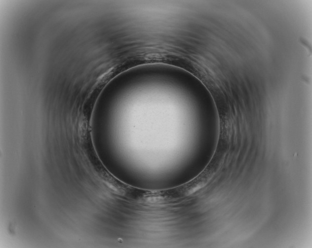 X0000091310228200708171423