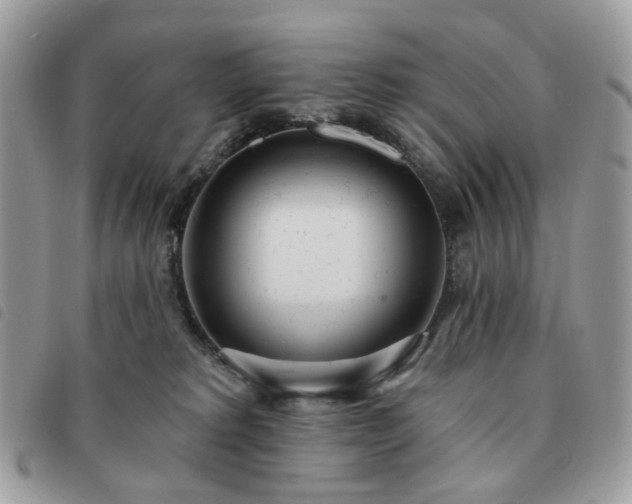 X0000091310229200708171423