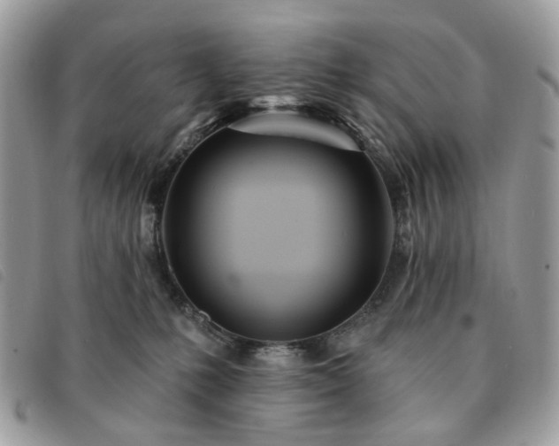 X0000091310231200708171423