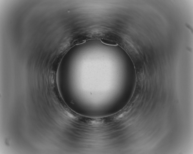 X0000091310232200708171423