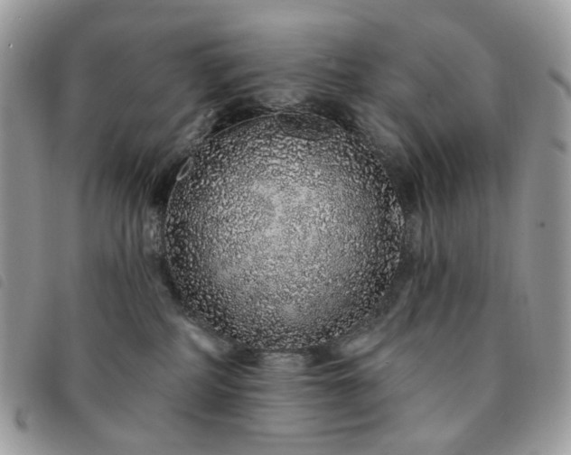 X0000091310234200708171423