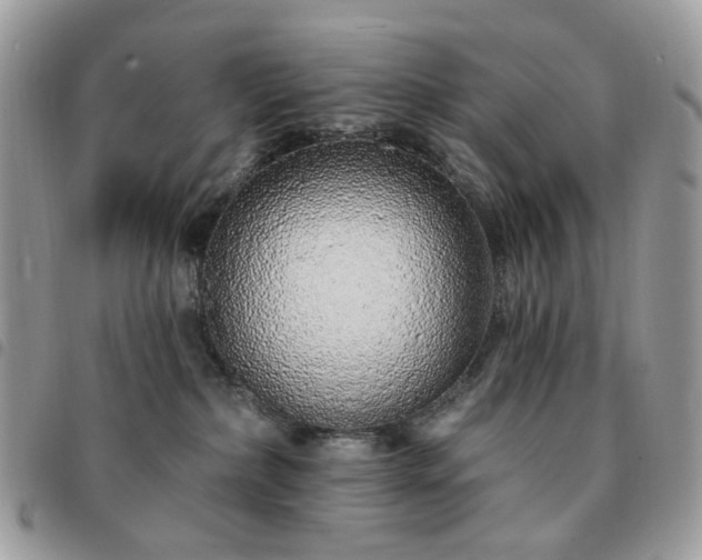 X0000091310236200708171423