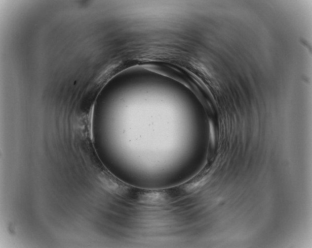 X0000091310237200708171423