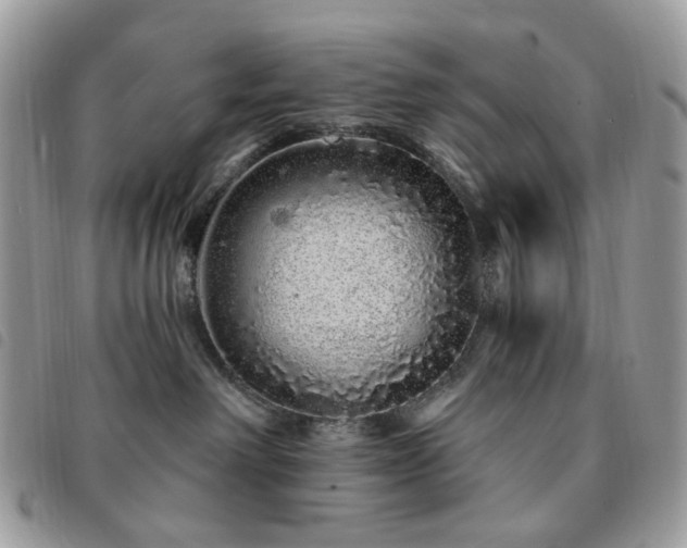 X0000091310238200708171423