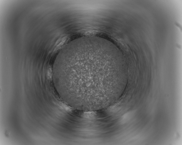 X0000091310240200708171423