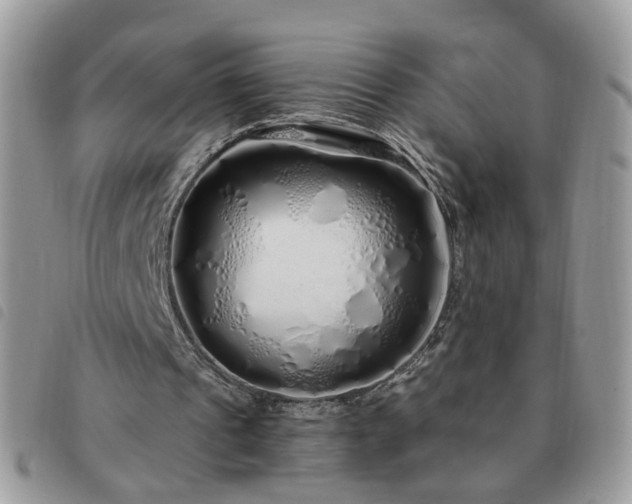 X0000091310241200708171422