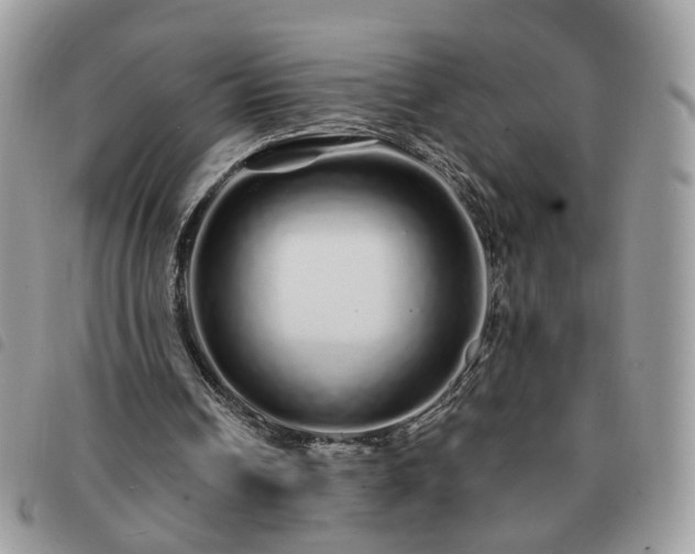 X0000091310242200708171422