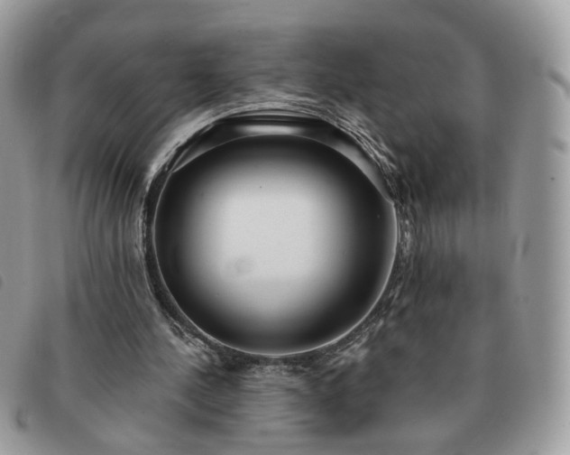 X0000091310244200708171422