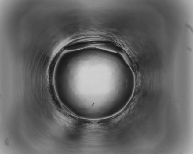 X0000091310246200708171422