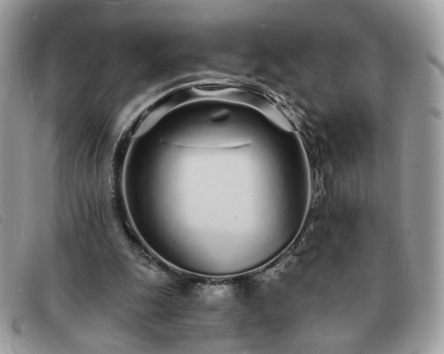 X0000091310247200708171422