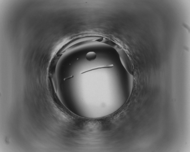 X0000091310248200708171422