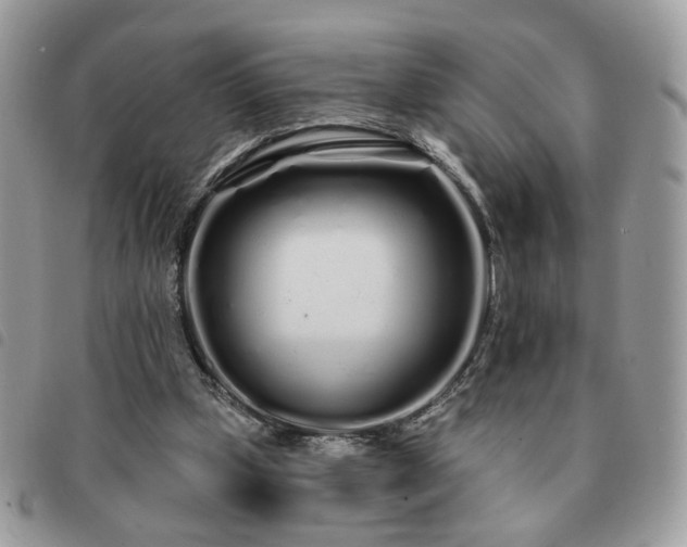 X0000091310249200708171422