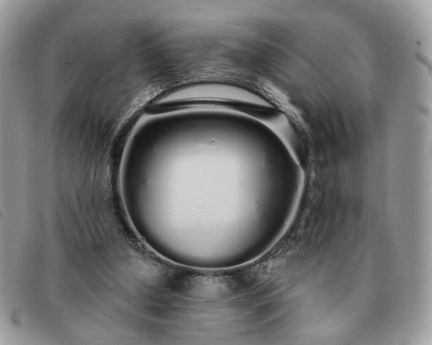 X0000091310250200708171422