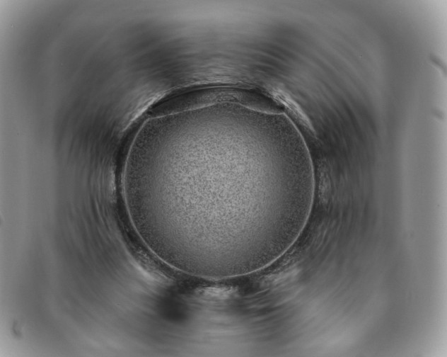 X0000091310251200708171422