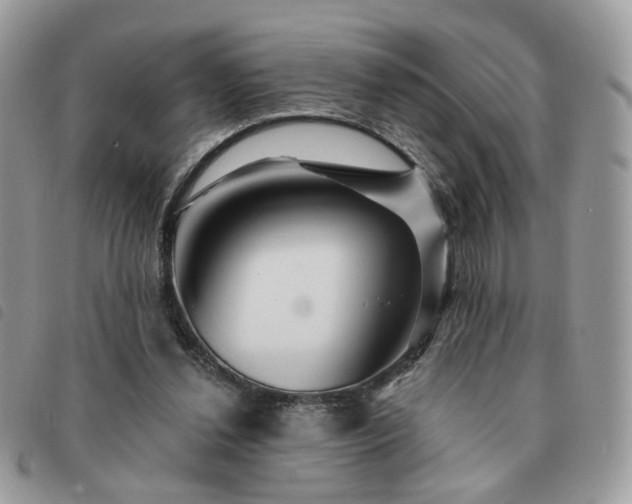 X0000091310252200708171422